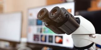 Careers After a Degree in Medical Laboratory Technology (MLT) Medical Laboratory Technology