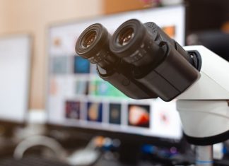 Careers After a Degree in Medical Laboratory Technology (MLT) Medical Laboratory Technology