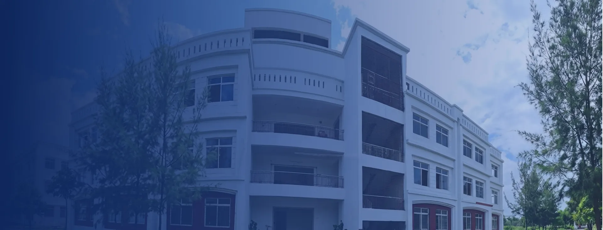 George College Banner 3