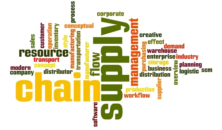 BBA in Supply Chain Management